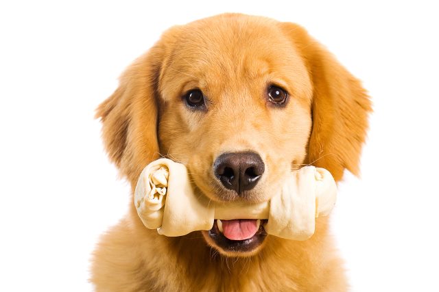 Are Rawhide Chews Safe For Your Dog Love My Dog Blog Love My Dog Blog